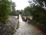 image007