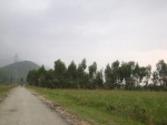DSC01203