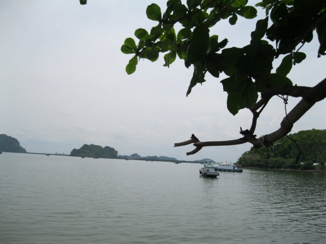 HonChong1