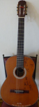 Đấu giá đàn guitar